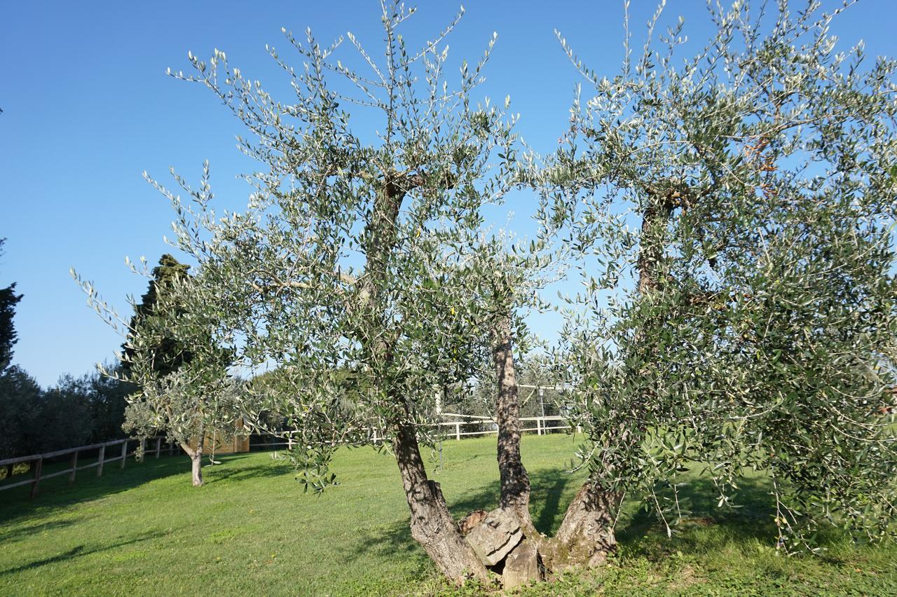 הוילה לסטרה א סיניה Residenza Piandaccoli מראה חיצוני תמונה